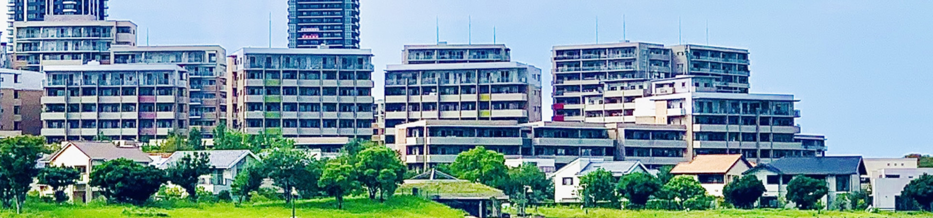 採用情報